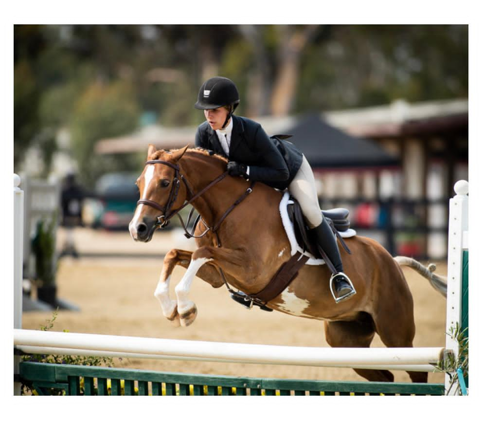 midnight-ruby-tuesday-saddle-lake-equestrian-center