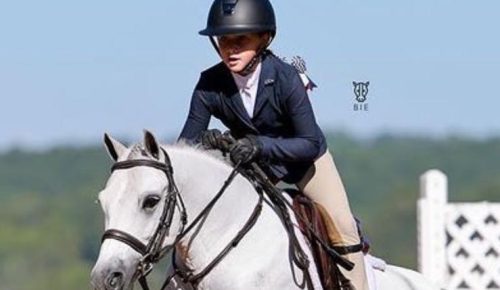c13667f7-8ad0-47da-b094-bb36045ca38c-1.jpg