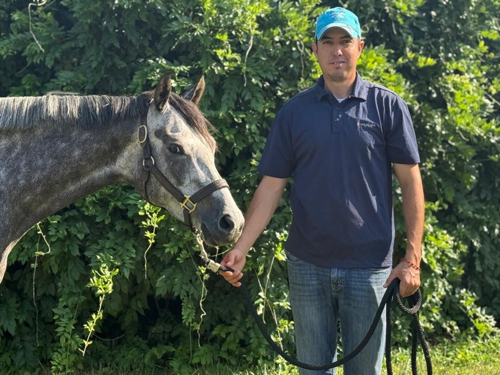 ad0d82c5-406d-4476-868b-a4ddfb3b56c3