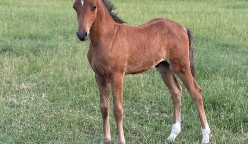 514021162_1039919464948360_5654113087605708635_n