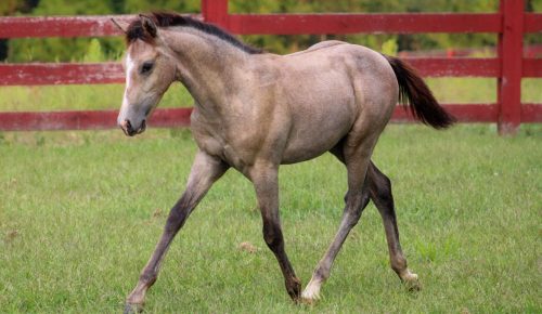 605672695_1404773251442771_4734736306643397986_n