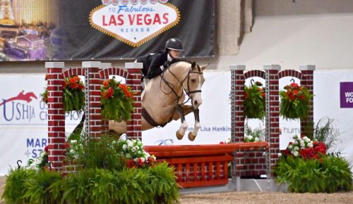 612060151_1189943819945923_9167153605055314190_n