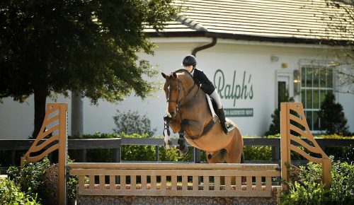 612114112_1189952459945059_2877554099758557724_n