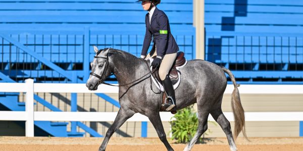 Royal Mystique